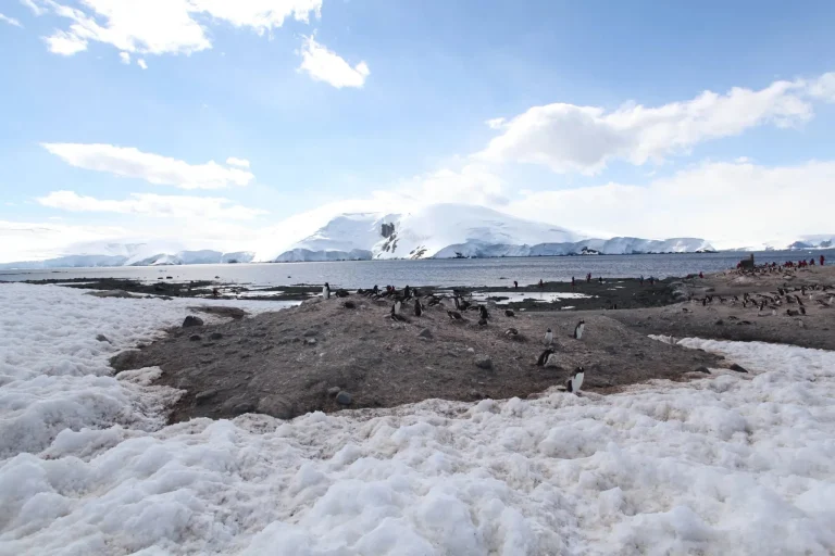 antarcticpeninsulaspots-27