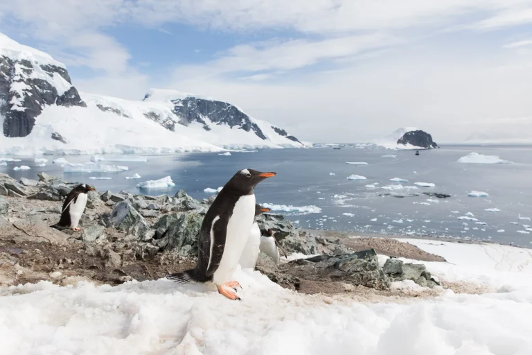 antarcticpeninsulaspots-41