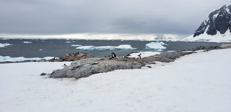 antarcticpeninsulaspots-59